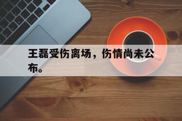 华体会官方网站-王磊受伤离场，伤情尚未公布。